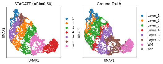 _images/T1_DLPFC_21_0.png