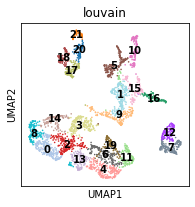 _images/T2_MouseBrain_19_0.png