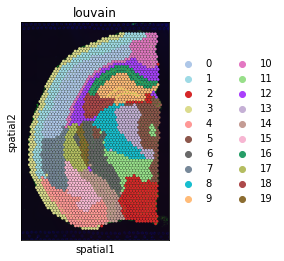 _images/T2_MouseBrain_31_0.png