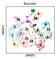 _images/T2_MouseBrain_32_0.png