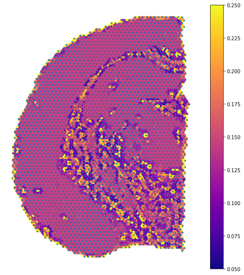 _images/T2_MouseBrain_38_0.png
