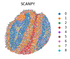 _images/T3_Slide-seqV2_29_1.png