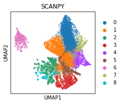 _images/T3_Slide-seqV2_30_0.png