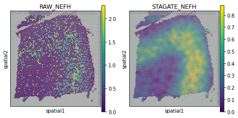 _images/T6_Denoising_23_1.png
