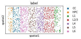 _images/T9_STARmap_17_1.png